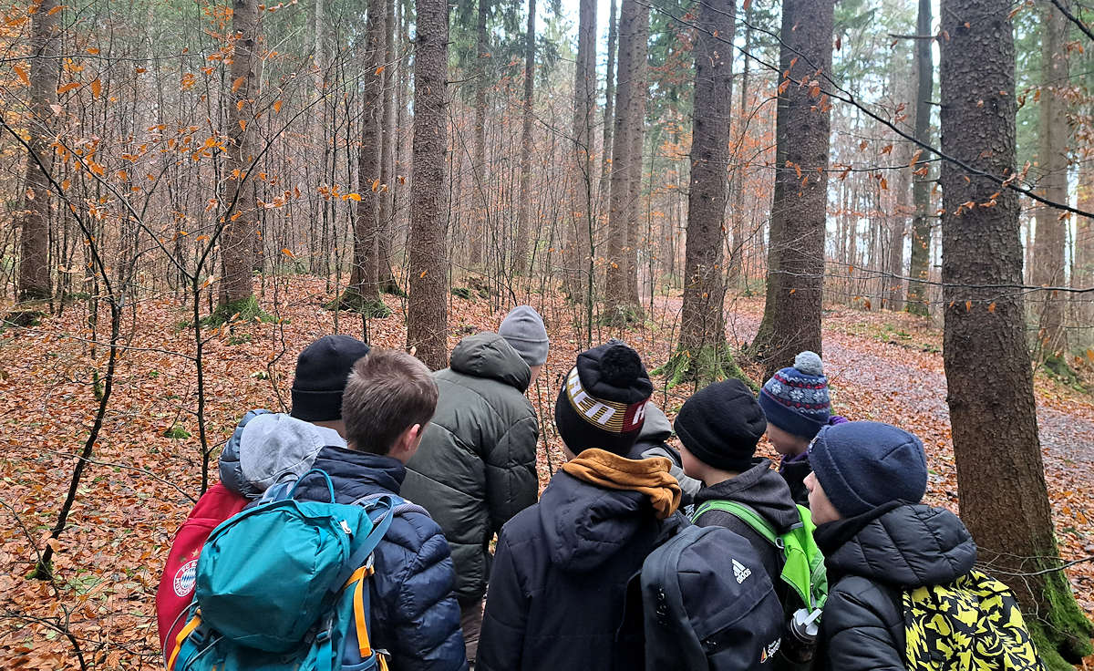 Wert des heimischen Waldes beim Waldwandertag der Wirtschaftsschule Frenzel aufgezeigt