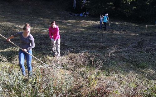 Gemeinsam anpacken für die Natur