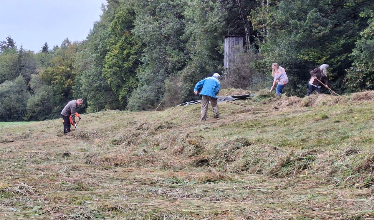 Heimatverein Kaufbeuren: Dringend Helfer gesucht für Biotoppflege am 27.09.2025