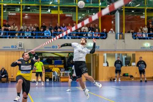 Kampf um den Klassenerhalt: TV Neugablonz empfängt TV Vaihingen/Enz