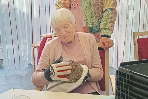 Igelbesuch in der BRK-Tagespflege Stiftsterrassen