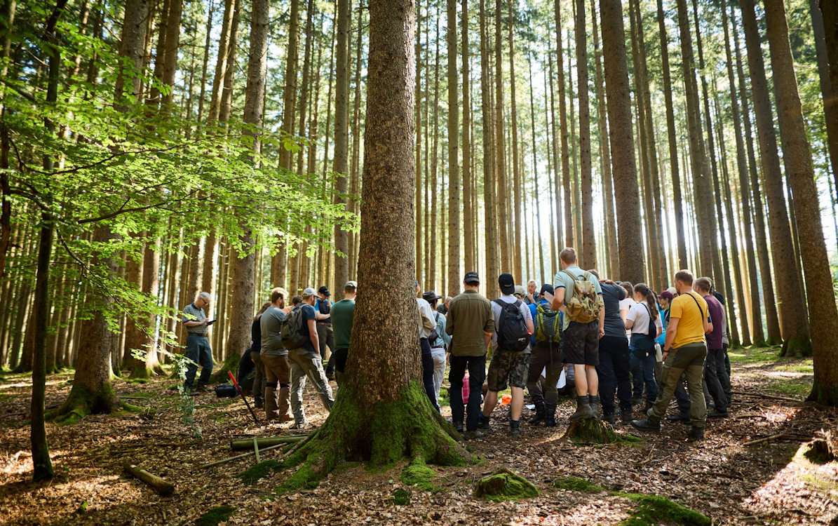 Bildungsprogramm Wald startet: Kostenlose Fortbildungsreihe zeigt Waldbesitzenden Wege zur nachhaltigen Bewirtschaftung