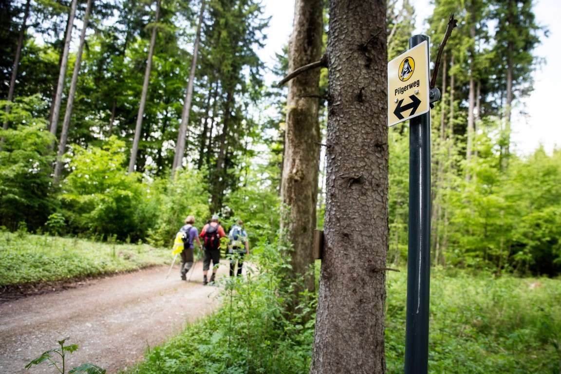Begleitetes Pilgern auf dem Crescentia-Pilgerweg in vier Etappen vom 14. bis zum 17. Mai 2026