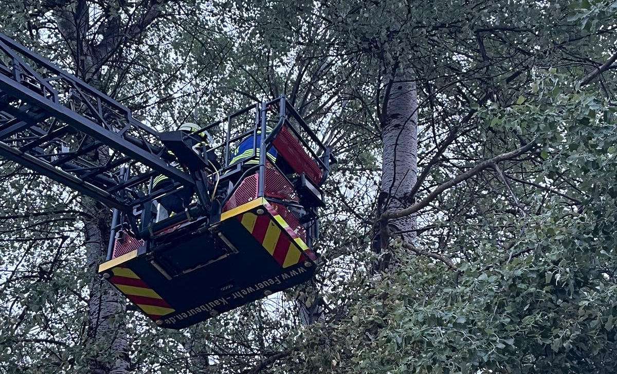 Feuerwehr Kaufbeuren entfernt beschädigten Ast mit Drehleiter