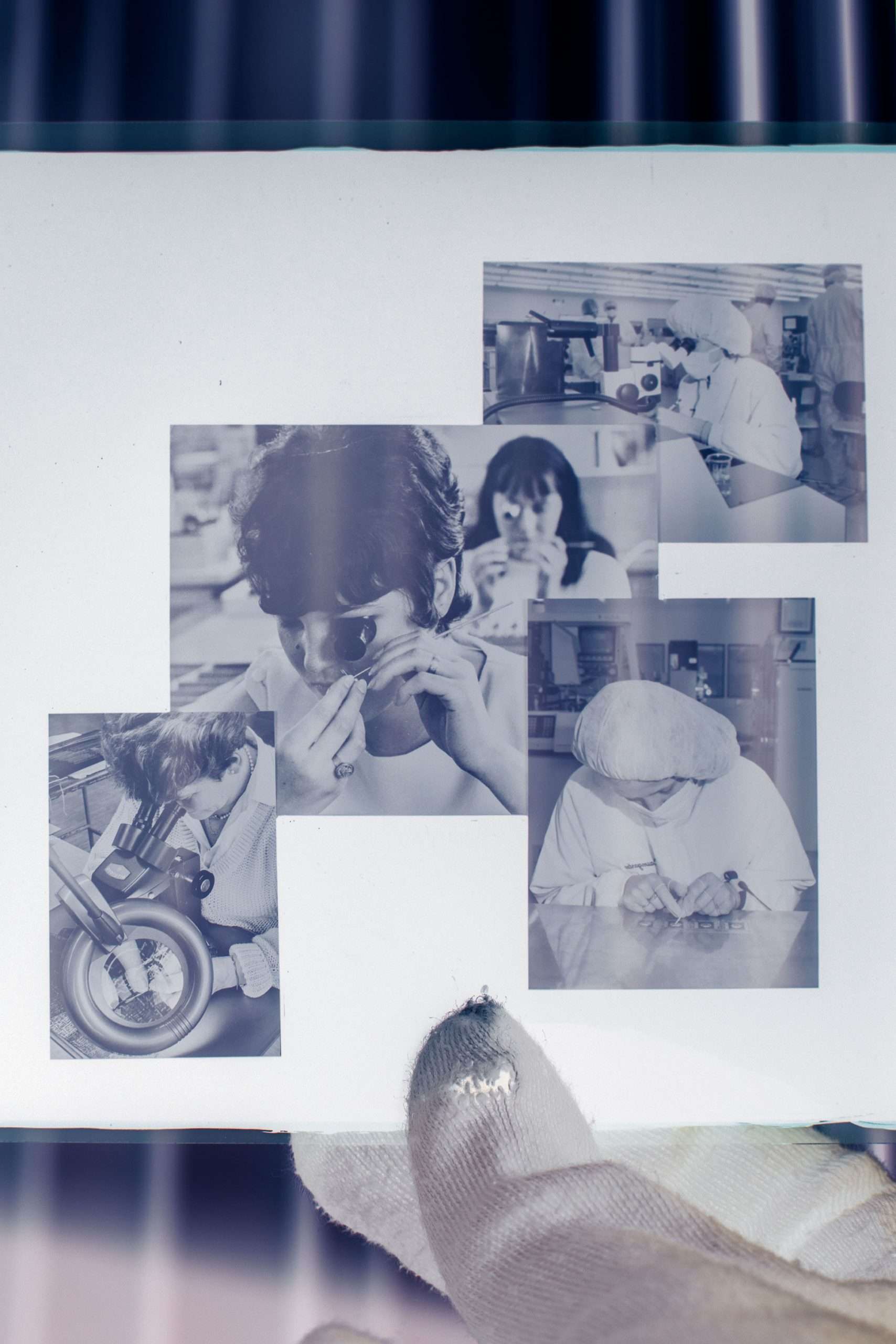 Eröffnung von drei Projekten im Kunsthaus Kaufbeuren
