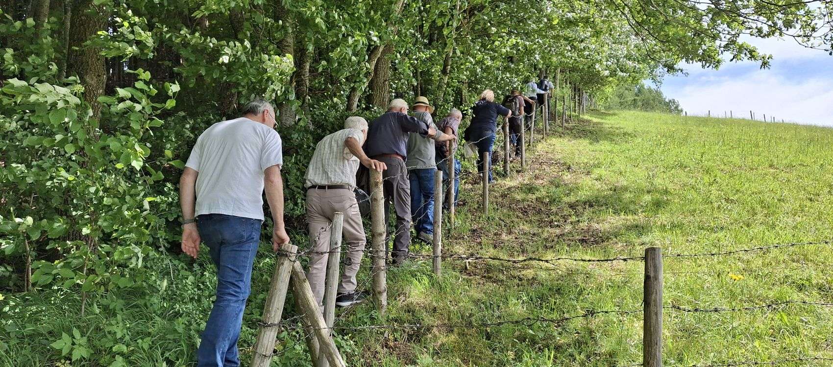 Ausflug zum Burgstall Eggenthal am 22.08.2026