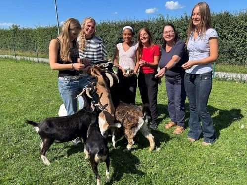 St. Maria Kaufbeuren. Melonen-Aktion für die Tiere vom Internat