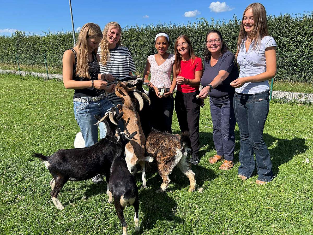 St. Maria Kaufbeuren. Melonen-Aktion für die Tiere vom Internat