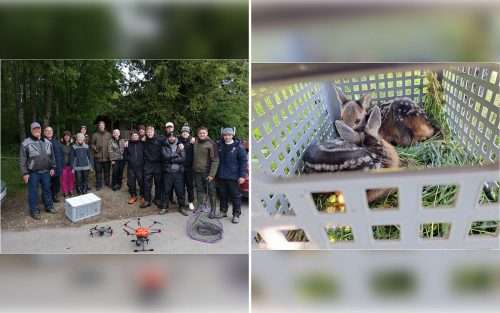 HAWE-Auszubildende retten 18 Rehkitze vor dem Mähtod