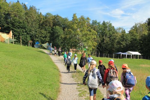 Sechs Wochen, ein starkes Team: Der Stadtjugendring zieht Bilanz zu den Sommerferien